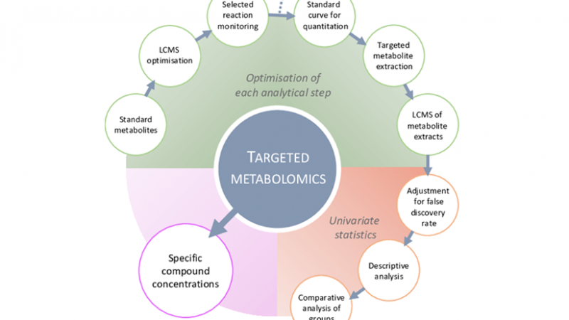 Arachidonic Acids in Inflammation