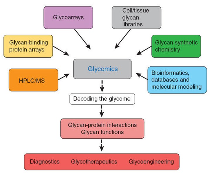 Figure 1. Emerging glycomics technologies