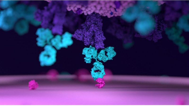 Host Cell Residue Protein Assay Facilitates Biopharmaceuticals