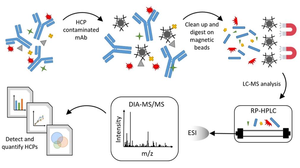 HCPs LC-MS/MS Analysis