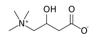 Analyze Carnitine and Acylcarnitine