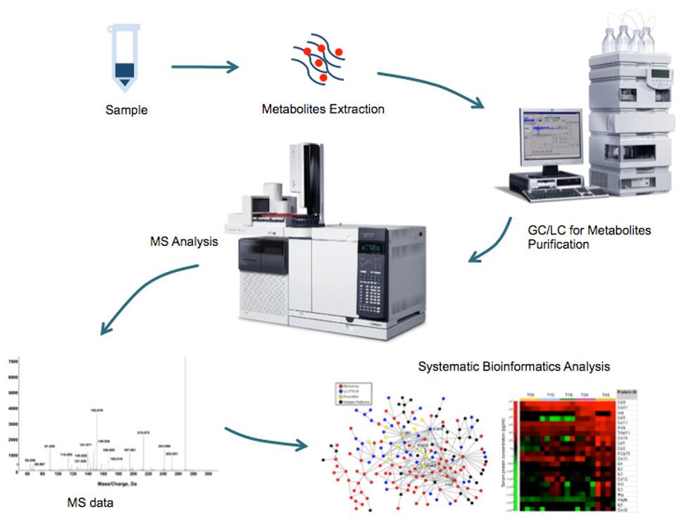 Metabolic flow solutions