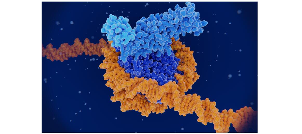 Histone Methylation Analysis Method