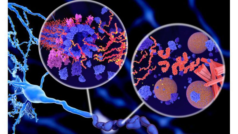 Advancing Proteomics: Phosphoproteomics Analysis