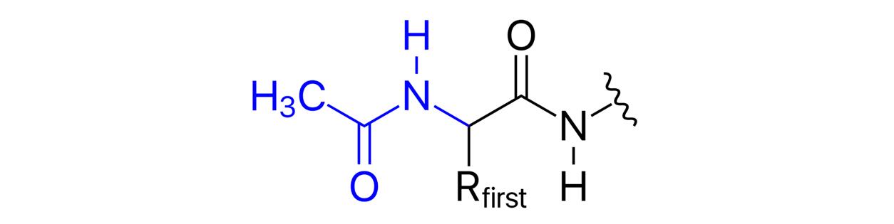 N-Acetylation Analysis: A Key Post-Translational Modification