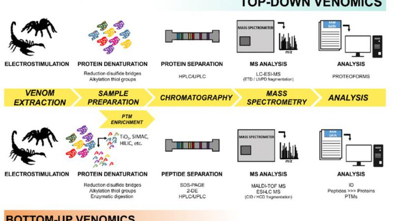 Composition, Functions, and Applications