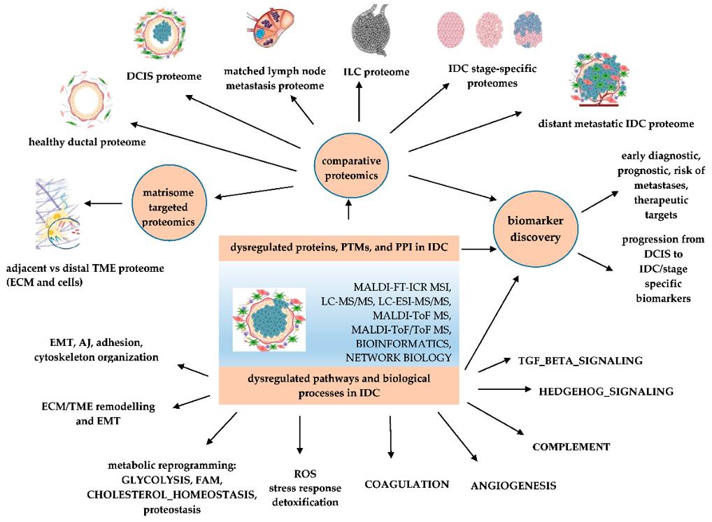 Omics Technologies in Cancer Research