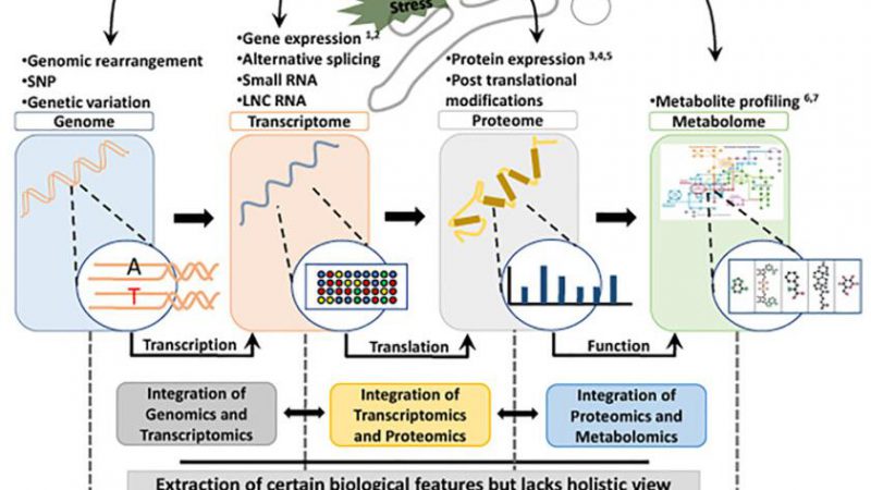 Organelle Omics Analysis and Applications