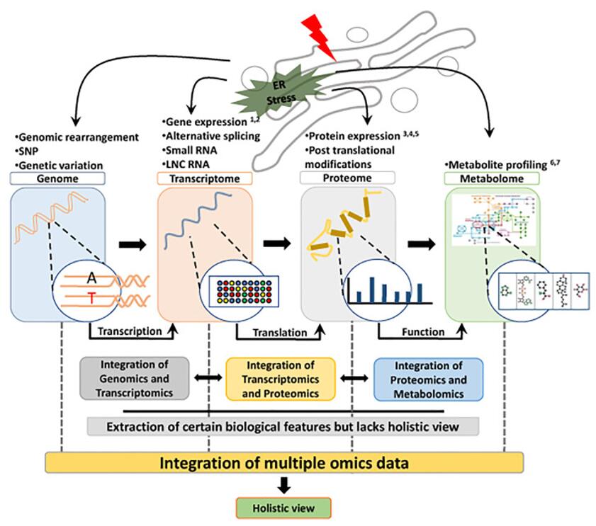 Integration of multi-omics data to gain a holistic overview