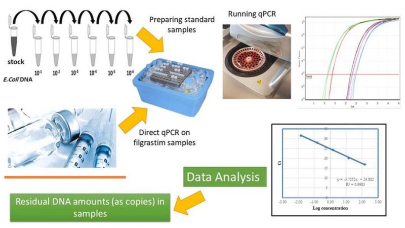 Residual DNA Testing in Biologics Manufacturing