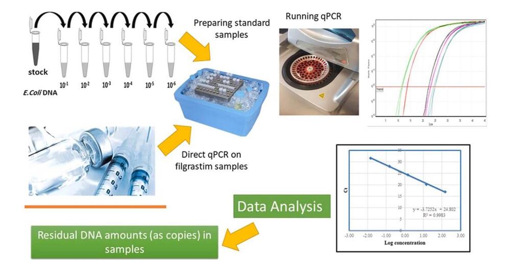 Residual DNA Testing in Biologics Manufacturing