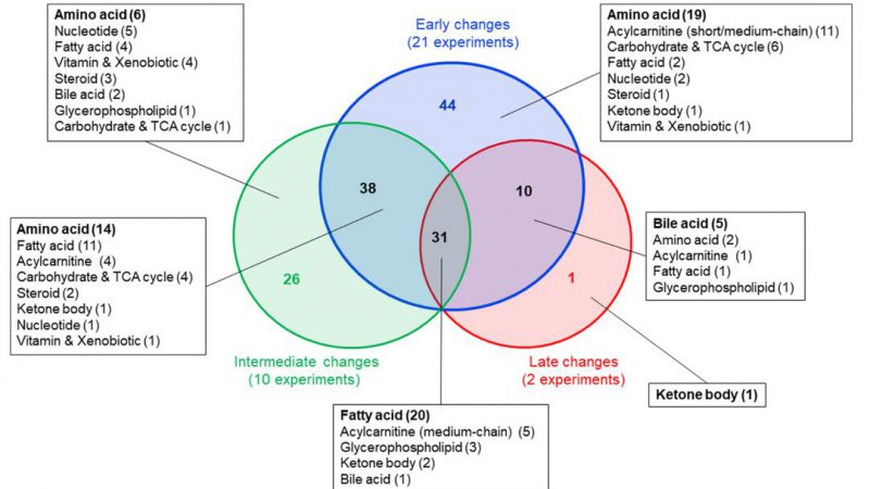 How to Use Venn Diagrams in Omics: Interpretation, Tools, and Best Practices