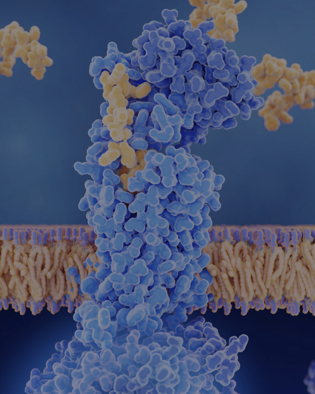 Glycoproteomics Precision: Uncover Protein Insights