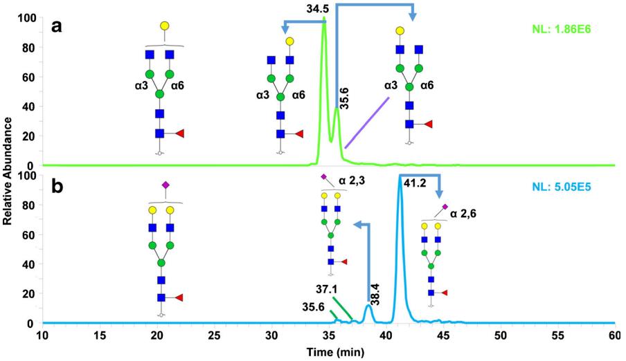 Extracted ion chromatogram (EIC) for two reduced and permethylated F1A2G1 isomeric structures, [M + 2H]2+, at m/z 1017.5413 (a) and four reduced and permethylated F1A2G2S1 isomeric structures, [M + 3H]3+, at m/z 867.1213 (b)
