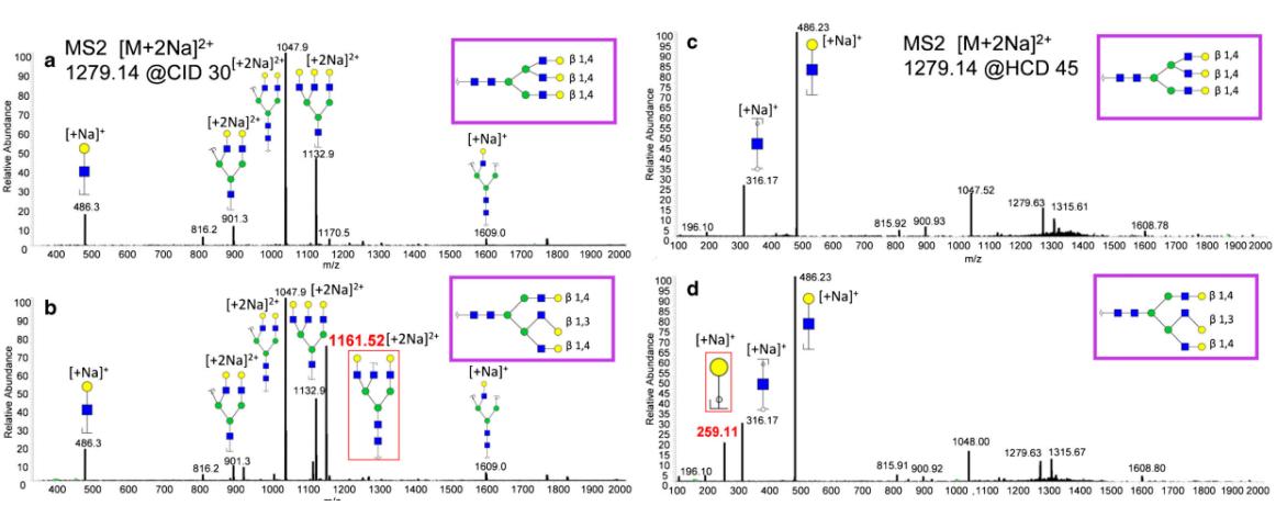 CID MS/MS spectra (a, b) and HCD MS/MS spectra (c, d) for two reduced and permethylated fetuin triantennary glycan isomers, [M + 2H]2+, that only differ in the linkage of one terminal galactose residue
