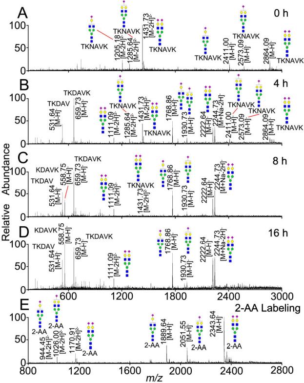 ESI-MS profiles of native sialylglycopeptides