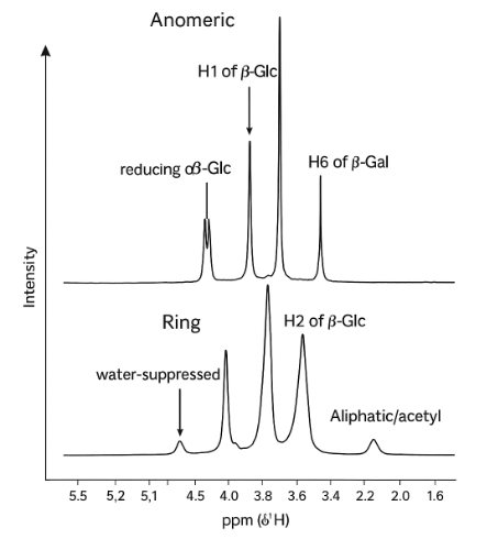 1D proton NMR spectrum of polysaccharide with anomeric, ring, and aliphatic regions labeled.