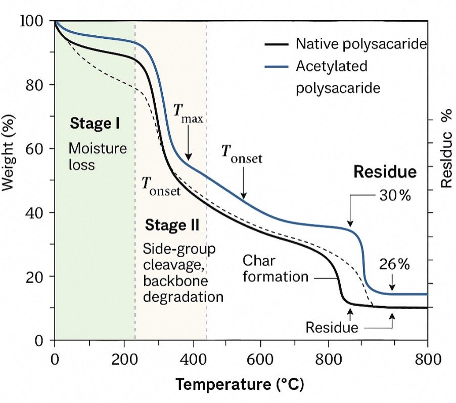TG and DTG curves showing thermal decomposition stages of native and acetylated polysaccharides, with annotated T_onset, T_max, and residue percentages.