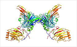 Signaling molecule analysis