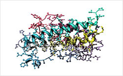 Plant hormones analysis