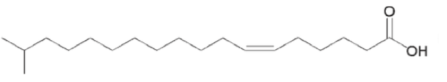 Branched Chain Fatty Acids Analysis Service