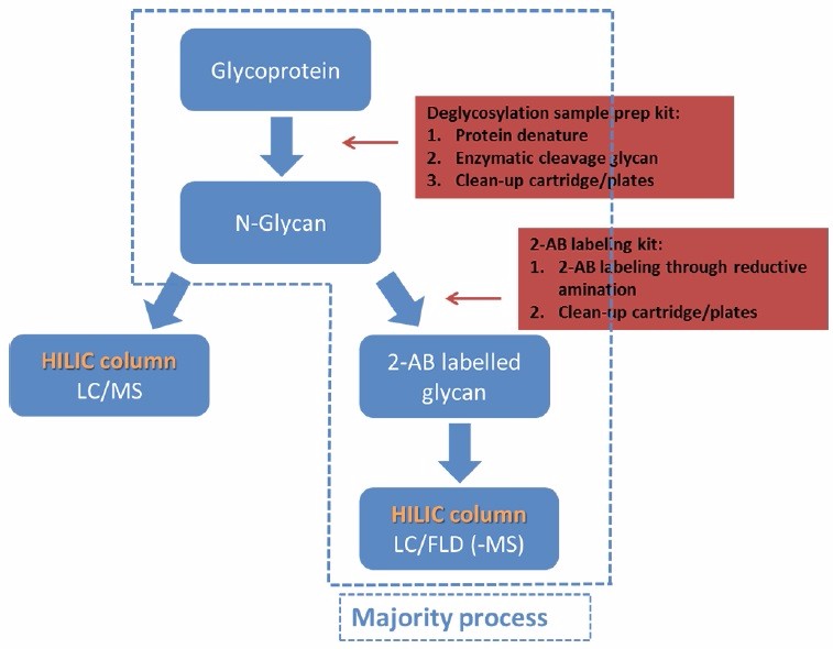 N-Glycans Profiling Services