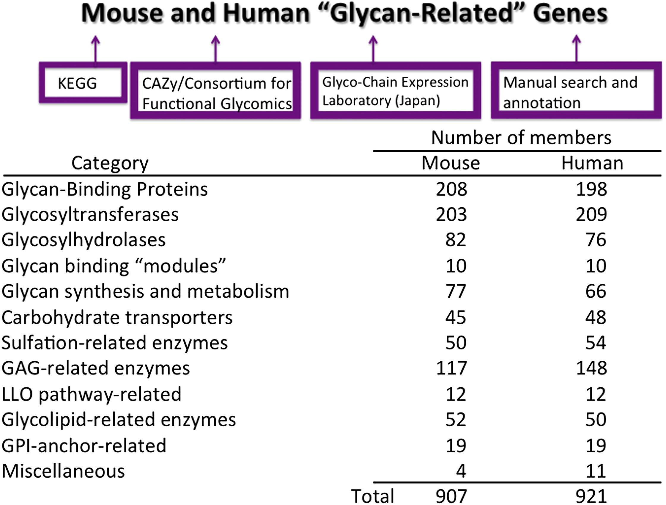 Glyco-gene Microarray Assay