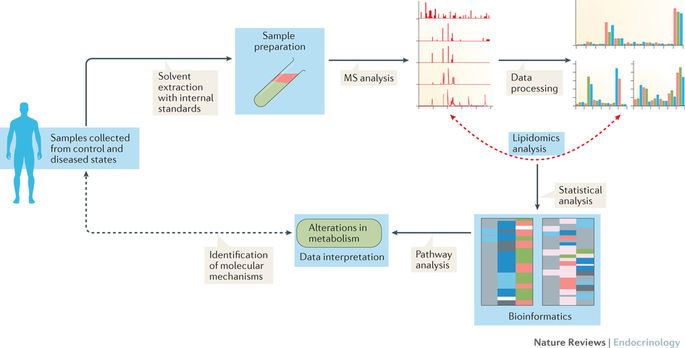 Mammals Untargeted lipidomics Service