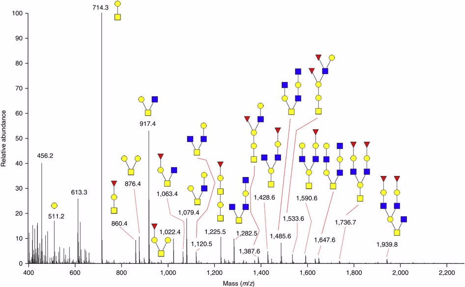 O-Glycan Profiling Service