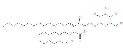 Hexosylceramide Analysis Service