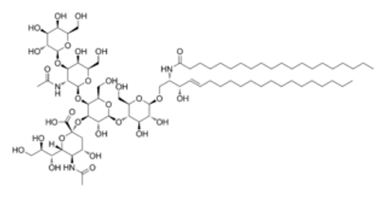 Gangliosides Analysis Service