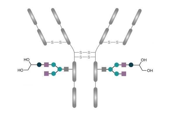 Analysis of Cysteine Related Variants