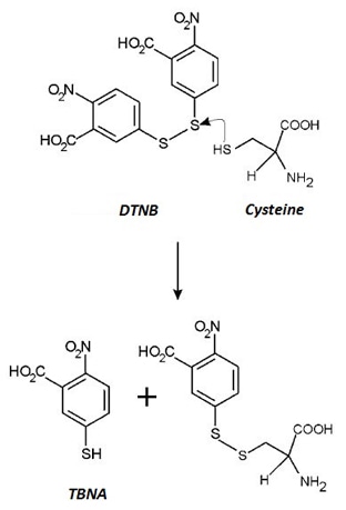 Analysis of Free Cysteine