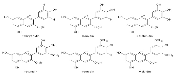 Anthocyanins