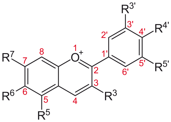 Anthocyanins Analysis Service