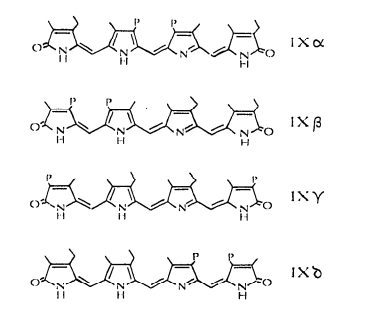 Biliverdins isomers Analysis Service