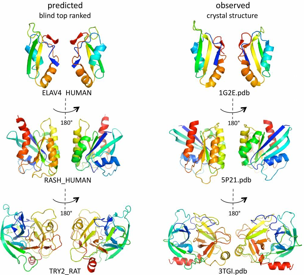 Bioinformatics for Protein