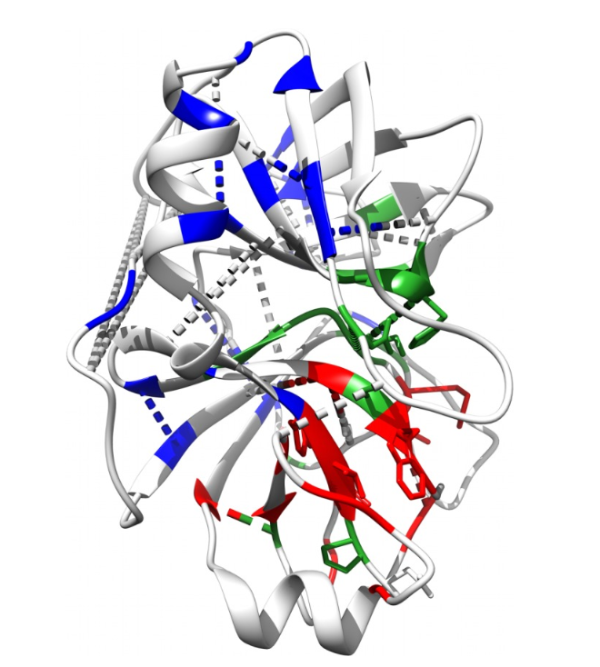 Bioinformatics for Protein