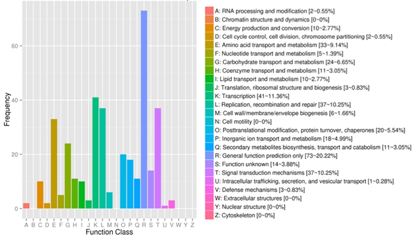 COG Annotation Analysis Service