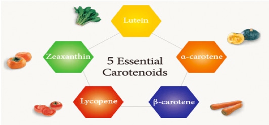 Carotenoids Analysis Service