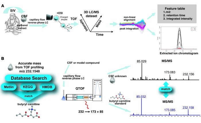 Cerebrospinal Fluid Untargeted Metabolomics