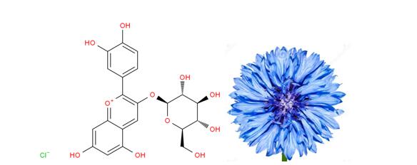 Cyanidin-3-O-glucoside (Chrysanthemin)Analysis Service 