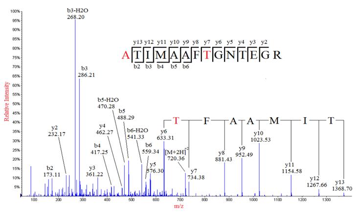 Peptide/Protein De Novo Sequencing