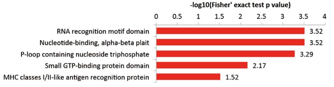 Domain Enrichment Analysis Service