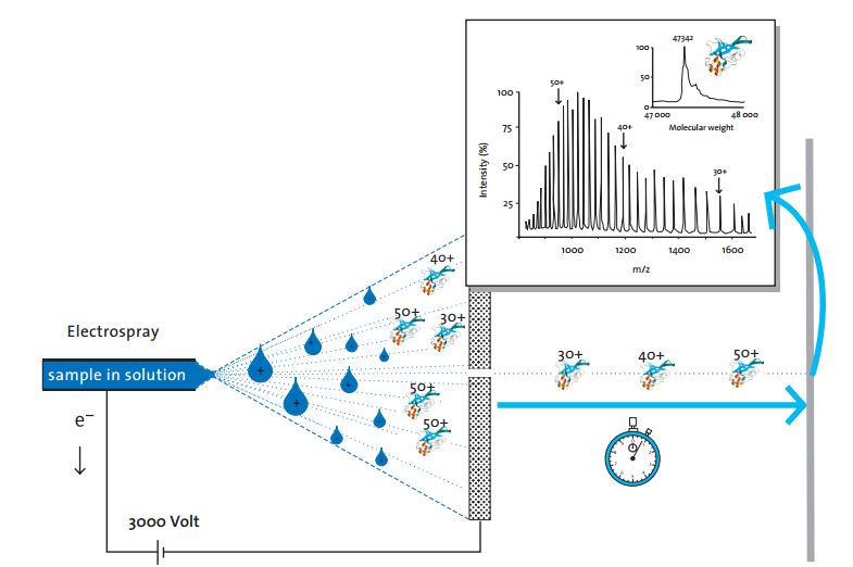 Electrospray Ionization