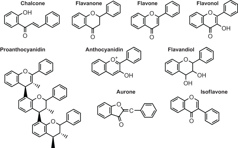 Flavonoids Analysis Service