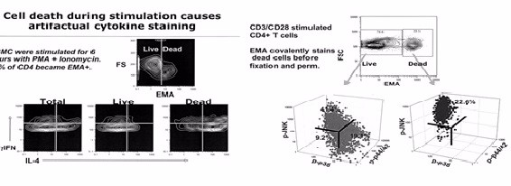 Flow Cytometry (FACS) Service