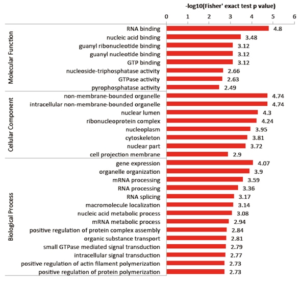Go Enrichment Analysis Service Creative Proteomics
