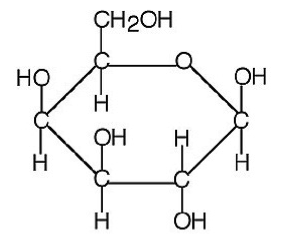 Galactose Analysis Service