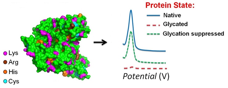 Analysis of Protein Glycation